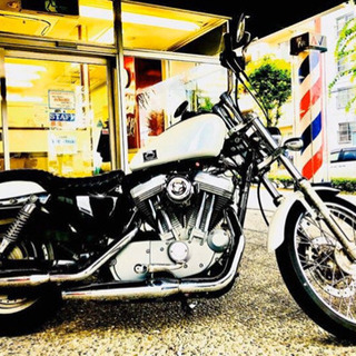 ハーレー　XL883C 車検付き
