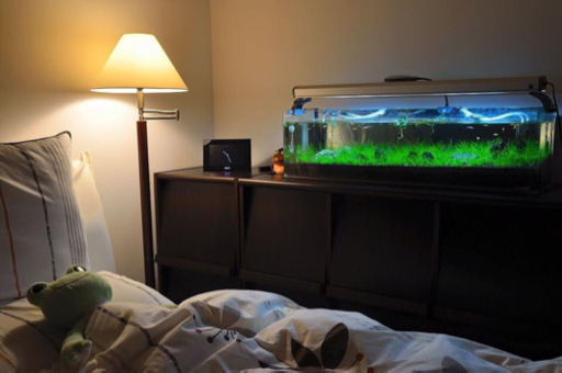 90センチ ダックス水槽