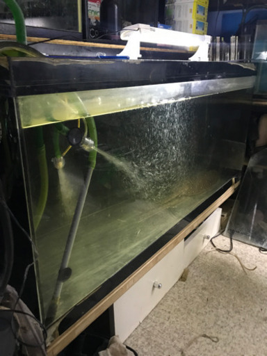 水槽、大型水槽、アクリル水槽、135x 60x50