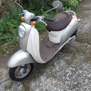 ホンダ　スクーピー　50cc　スクーター　自賠責有　実働　佐賀　...