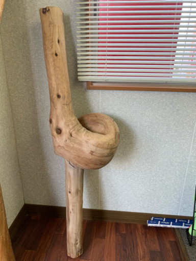 家宝の変木