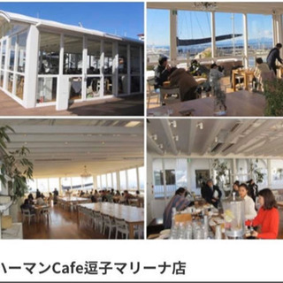 逗子マリーナオーナーズ会員権お譲りします。