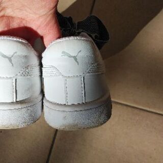 PUMA  レディース スニーカーの画像