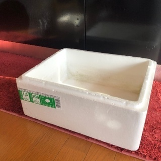 ※メダカ使用①