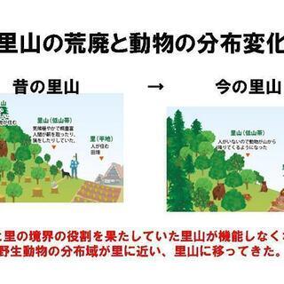 サバイバルゲームフィールドによる獣害対策事業のご案内 - 高松市