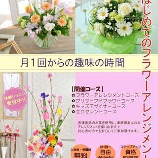 体験レッスン募集中！