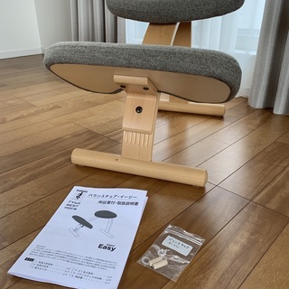 バランスチェア・イージー （ノルウェー・リボ社）