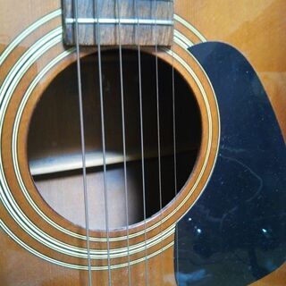 アコースティックギター　差し上げますの画像