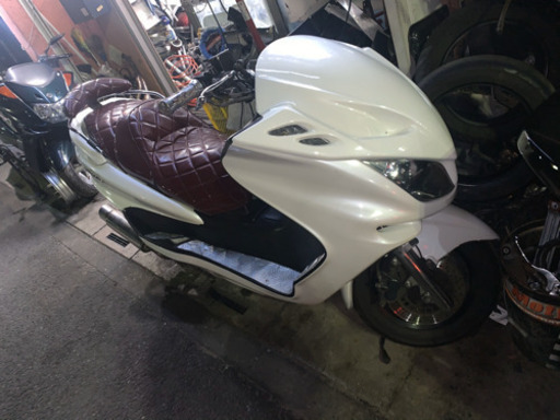 マジェスティーC  スペシャルエディション　草加市