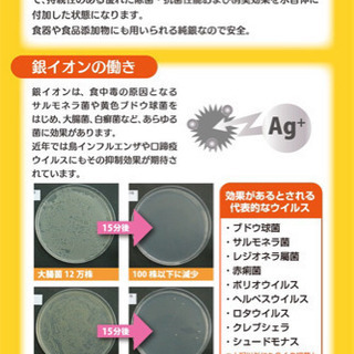 新品イオン生成器銀イオン生成器銀イオン水生成器　Lino Ag+　（リノエの画像
