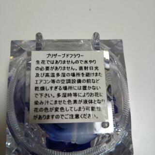 薔薇プリザーブドフラワーの画像