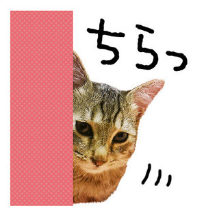 28日夜