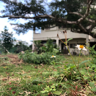 【 学 童 】 那覇市で開所します