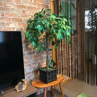 造花 フィカス 80cm 人工観葉植物