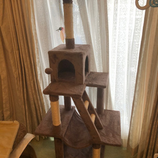 キャットタワー差し上げます
