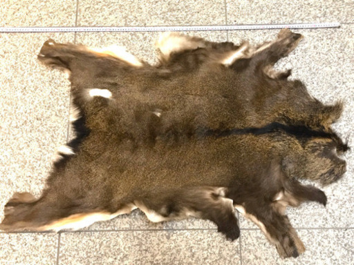 鹿の毛皮１ 敷物 タペストリー ラグマット