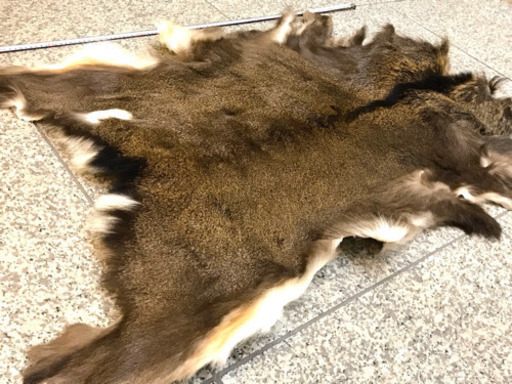 鹿の毛皮１ 敷物 タペストリー ラグマット