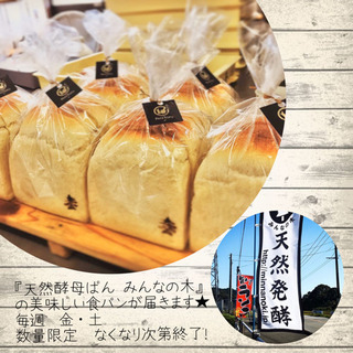 毎週 金・土　『みんなの木のぱんの日』