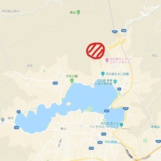 河口湖から北1キロの好立地！2.57ha（約7,700坪）の広大山林！ - 不動産