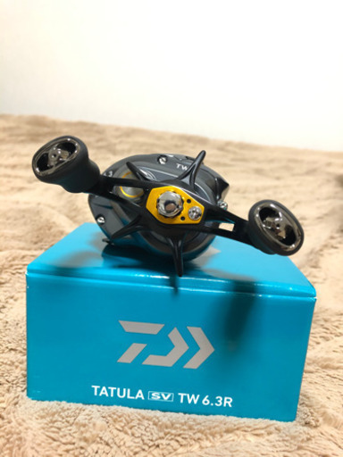 17タトゥーラsv twカスタム