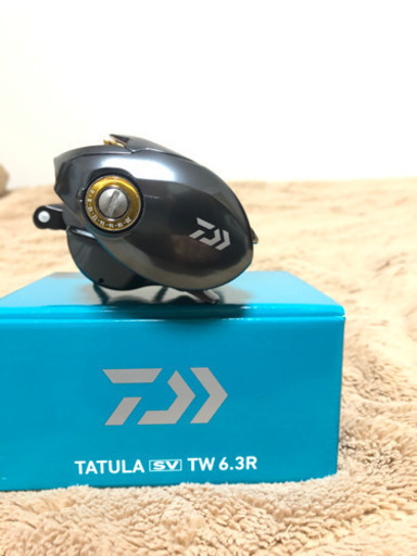 17タトゥーラsv twカスタム