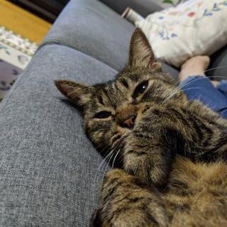 友達ぼしゅー(*´σ꒳｀)