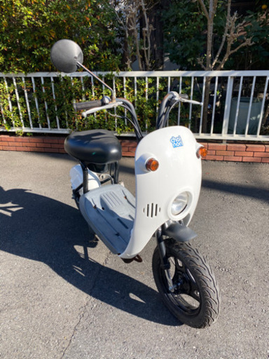 スズキ　チョイノリ