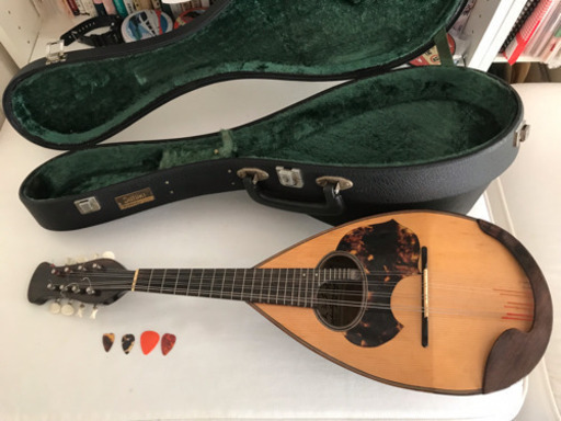 SUZUKI マンドリン