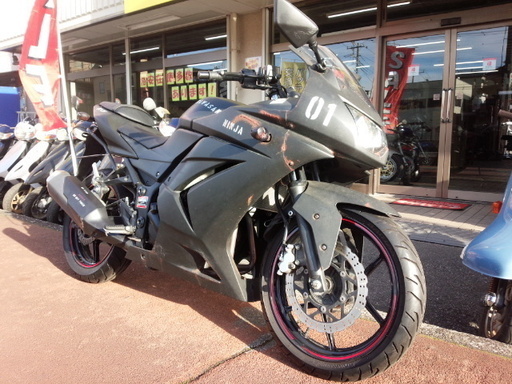NO.3037　Ｎｉｎｊａ２５０Ｒ（ニンジャ２５０Ｒ） 水冷４サイクル２気筒　ＦＩ車　マッドブラック＆サビ風ペイント　☆彡
