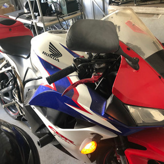 cbr600rrの画像
