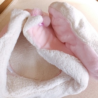 ドギーマン　犬猫用　ベッド　ぐ～ぐ～シューズ　新品の画像