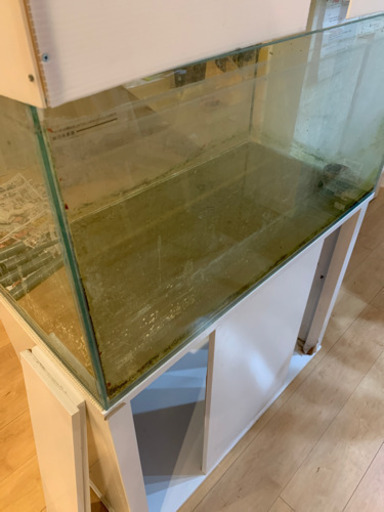 取引中コトブキレグラス900オーバーフロー水槽