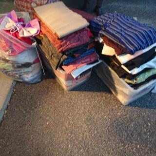 着物いろいろ 👘の画像