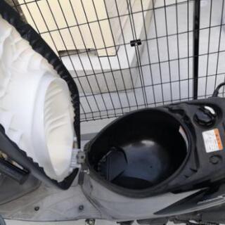 SUZUKI Address V125の画像