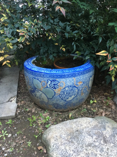 火鉢 睡蓮鉢 ビオトープ