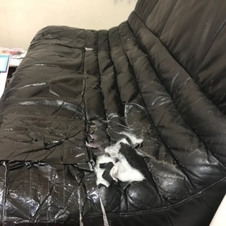 中古ソファ黒2〜3人掛けの画像