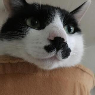 閲覧有り難うございました