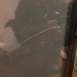 43型プラズマテレビ  やや難ありの画像