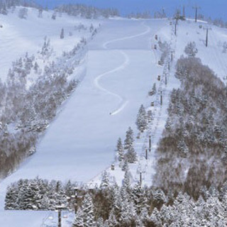 1/2〜1/5迄の期間で１日日帰り車で志賀高原焼額山へスノボ行き...