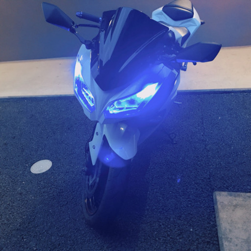 【カスタム多数】 現在価格高騰中 Ninja250 ガッツリ値下げ