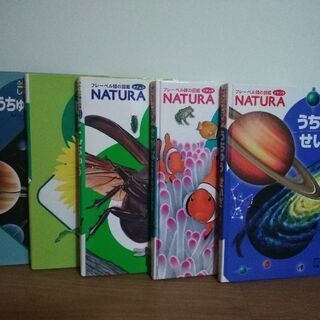 フレーベル館図鑑ナチュラNATURAしぜん図鑑5冊セット (umi) 南