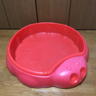 てんとう虫の砂場の画像