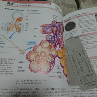 子供の病気、絵本、料理本などの画像