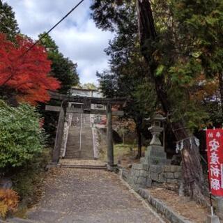 癒やし仲間募集 - 安芸郡
