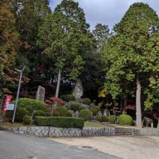 癒やし仲間募集
