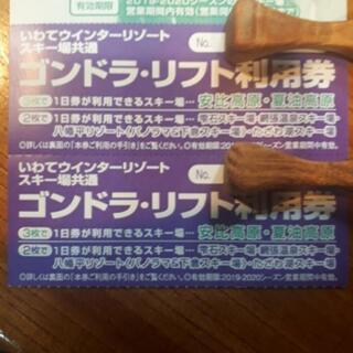大人ペア たざわ湖スキー場リフト券一日券 雫石 八幡平リゾート ...