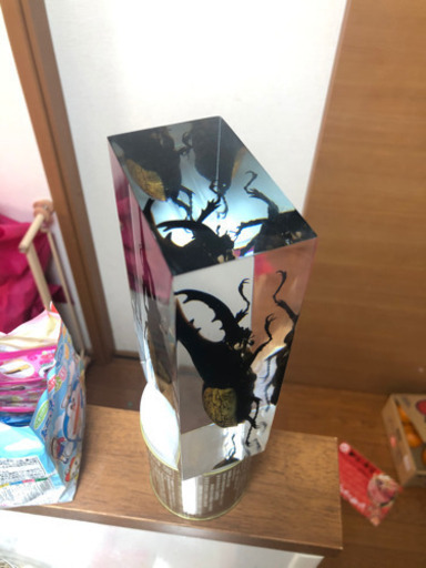 ヘラクレスオオカブト　樹脂標本