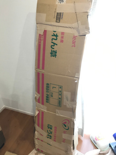コルト エレキギター(カバー付き)