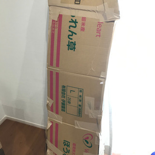 コルト エレキギター(カバー付き)の画像