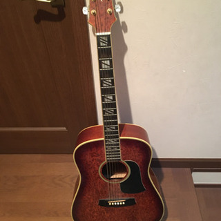 アコースティックギター(決まりました)